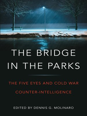 cover image of The Bridge in the Parks